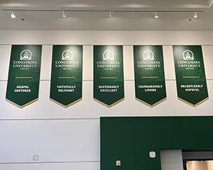 5 green pennant banners hanging near the top of a wall.
